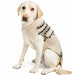 Alpaca Cream Wyatt Dog Sweater