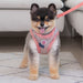 Pinkaholic Freesia Vest Harness