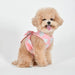 Pinkaholic Roselin Harness D