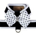 POLKA DOT NOUVEAU BOW + BLACK TINKIE HARNESS W/WHITE TRIM