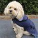 NAVY ARGYLE PACKAWAY RAINCOAT DOG, Coats - Bones Bizzness