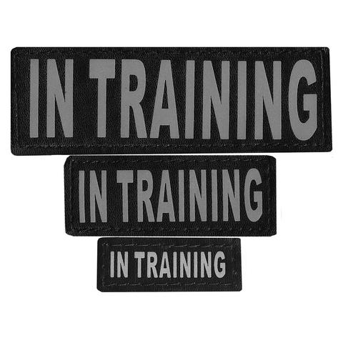 IN TRAINING SERVICE DOG REMOVABLE PATCHES (S/M/L/XL), SERVICE DOG - Bones Bizzness