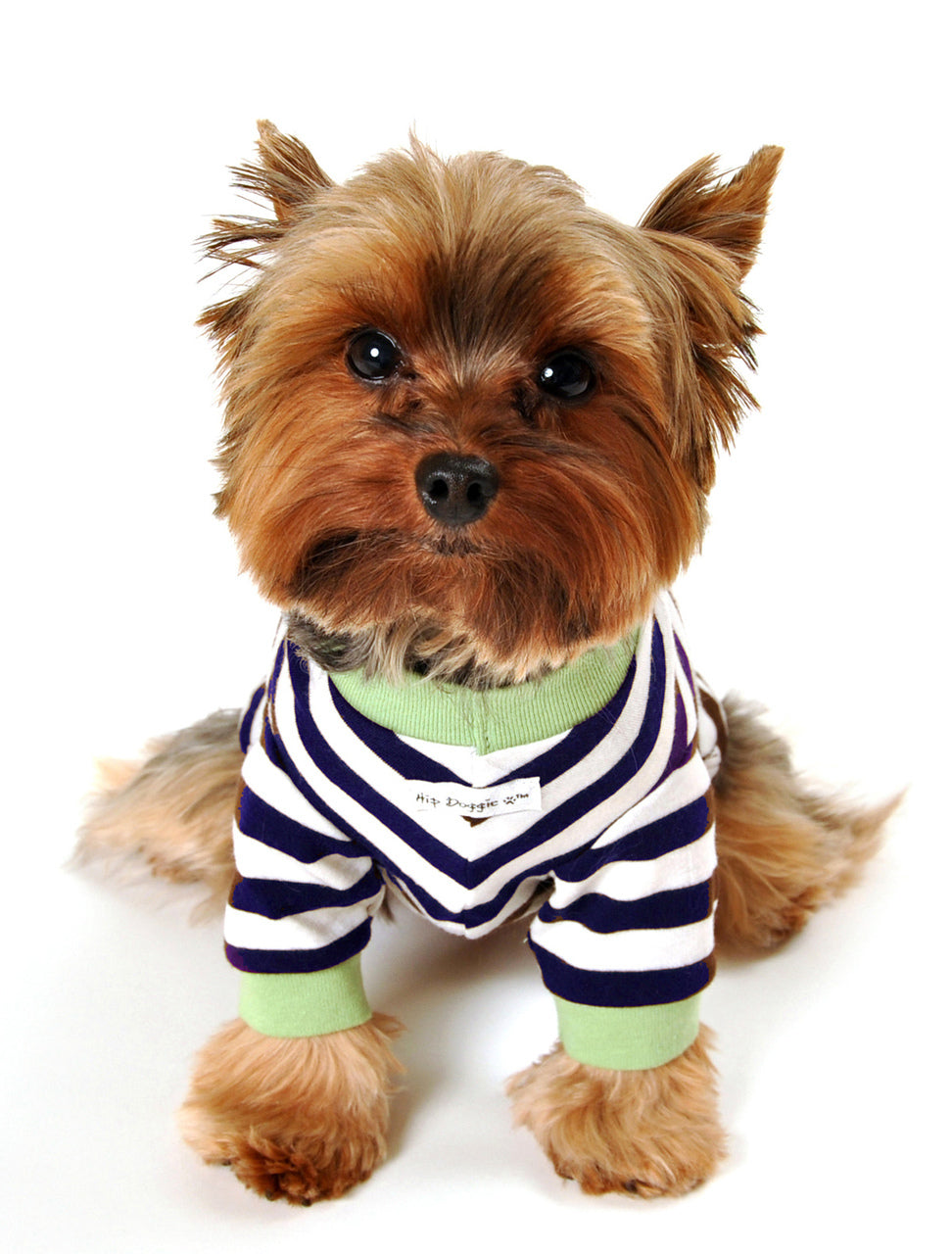 CROWN STRIPE DOG TEE