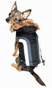 ALPINE SWISS DOG JACKET - BLACK
