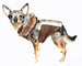 ALPINE SWISS DOG JACKET - BROWN, Coats - Bones Bizzness