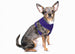 ULTRA COMFORT MESH HARNESS VEST - PURPLE