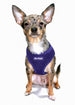 ULTRA COMFORT MESH HARNESS VEST - PURPLE