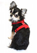 ULTRA COMFORT MESH HARNESS VEST - RED