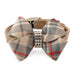 SCOTTY NOUVEAU FAWN PLAID BOW DOG COLLAR, Collars - Bones Bizzness