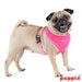 NEON PUPPIA SOFT HARNESS A, Harness - Bones Bizzness