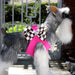 WINDSOR CHECK NOUVEAU BOW STEP-IN DOG HARNESS - (9 COLORS), Harness - Bones Bizzness