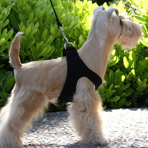 PLAIN ULTRASUEDE STEP-IN DOG HARNESS- (42 COLORS), Harness - Bones Bizzness