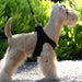 PLAIN ULTRASUEDE STEP-IN DOG HARNESS- (42 COLORS), Harness - Bones Bizzness