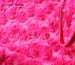 ROSEBUD LUXURY PET BLANKETS, Blankets - Bones Bizzness