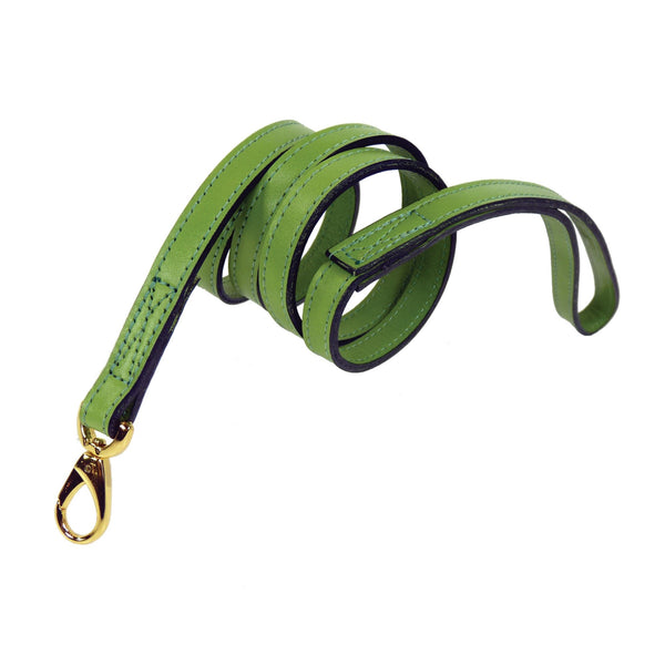 SOUTH SEAS LEAD IN LIME GREEN & GOLD, Leash - Bones Bizzness