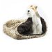 SAVANNAH WITH CHOCOLATE CURLY SUE CUDDLE CUP DOG BED, Beds - Bones Bizzness