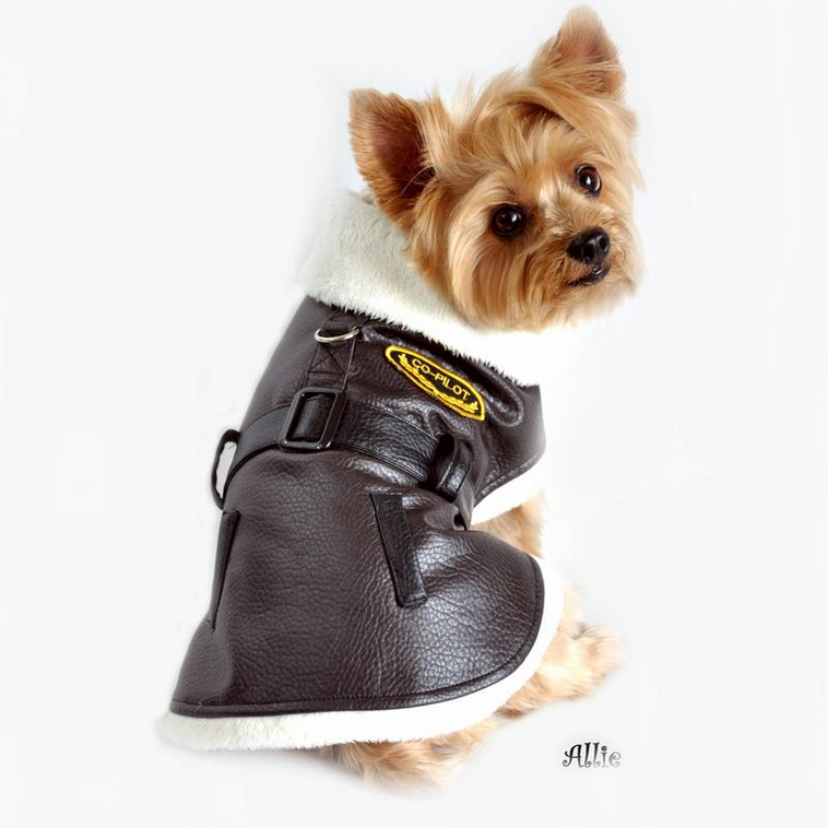 BROWN VINTAGE BOMBER DOG COAT AND LEASH, Coats - Bones Bizzness