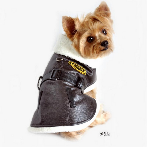 BROWN VINTAGE BOMBER DOG COAT AND LEASH, Coats - Bones Bizzness