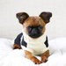 FISHERMAN DOG SWEATER, Sweaters - Bones Bizzness