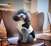 FISHERMAN DOG SWEATER, Sweaters - Bones Bizzness
