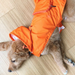 ORANGE CRAB PACKAWAY RAINCOAT DOG