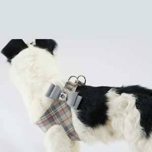 SCOTTY PLAID BIG BOW STEP-IN HARNESS- PLATINUM BOW, Harness - Bones Bizzness