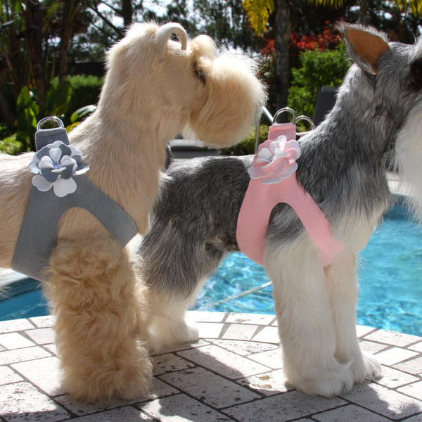 SPECIAL OCCASION DOG HARNESS - PLATINUM OR PUPPY PINK, Harness - Bones Bizzness