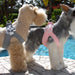 SPECIAL OCCASION DOG HARNESS - PLATINUM OR PUPPY PINK, Harness - Bones Bizzness