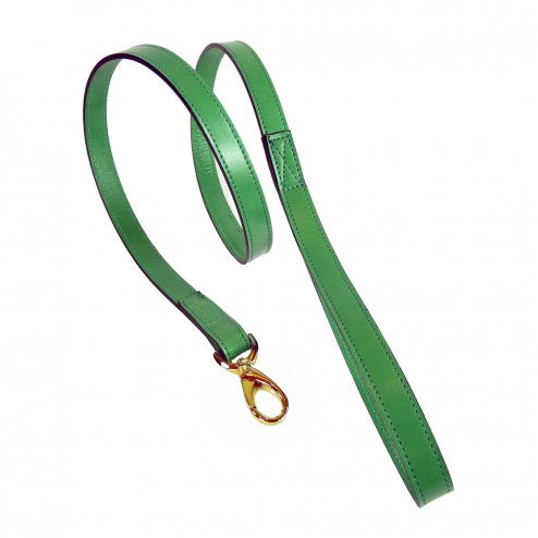 AU NATURALE IN KELLY GREEN DOG LEAD