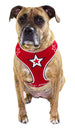 SUPER STAR MESH HARNESS VEST - RED