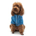 BLUE COLORBLOCK DOG SWEATER, Sweaters - Bones Bizzness