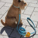 DARLA STEP-IN HARNESS BY SUSAN LANCI, Harness - Bones Bizzness
