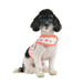 HOPPER PINKA HARNESS - PINK / PURPLE (2 COLORS)