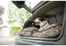 FROLIC DOG BED - (3 COLORS), Beds - Bones Bizzness