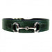 BELMONT IN IVY GREEN & NICKEL DOG COLLAR, Collars - Bones Bizzness
