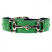 BELMONT IN KELLY GREEN & NICKEL DOG COLLAR, Collars - Bones Bizzness