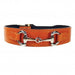 BELMONT IN TANGERINE & NICKEL DOG COLLAR, Collars - Bones Bizzness
