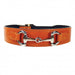 BELMONT IN TANGERINE & NICKEL DOG COLLAR, Collars - Bones Bizzness
