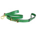 BELMONT IN KELLY GREEN & GOLD DOG COLLAR, Collars - Bones Bizzness