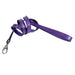 BELMONT IN LAVENDER & NICKEL DOG COLLAR, Collars - Bones Bizzness