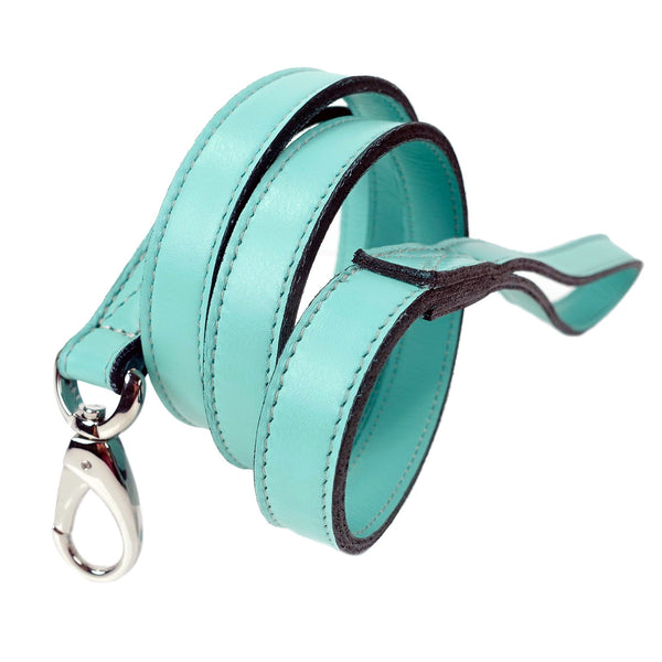 HAMILTON COLLECTION DOG LEAD IN TURQUOISE, Leash - Bones Bizzness