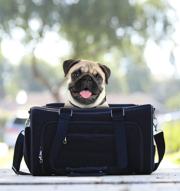 HEMP ECO PET CARRIER