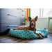 MOROCCAN TEAL LOUNGE DOG BED, Beds - Bones Bizzness