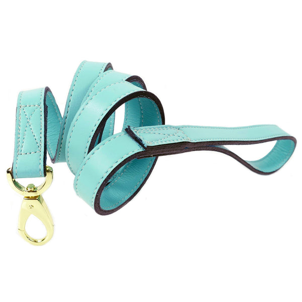 DAISY DOG LEAD IN TURQUOISE & GOLD, Leash - Bones Bizzness