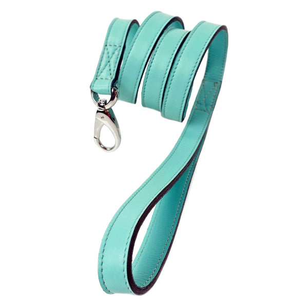 ATHENA TURQUOISE & NICKEL DOG LEAD, Leash - Bones Bizzness