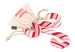 HOLIDAY CLASSIC PLUSH DOG TOY COLLECTION, Toys - Bones Bizzness