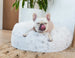 ARTIC SHAG DONUT DOG BED