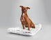 ARTIC SHAG COZY DOG MAT