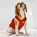 ATLANTA HAWKS BASKETBALL MESH DOG JERSEY