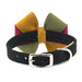 AUTUMN PINWHEEL BOW DOG COLLAR